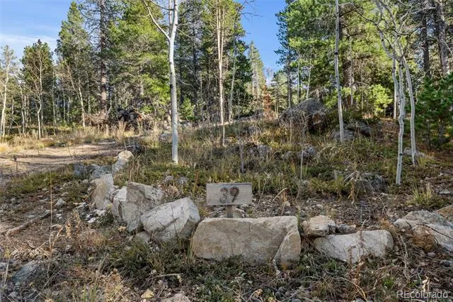 00 Severance Lodge Rd Black Hawk, CO 80422