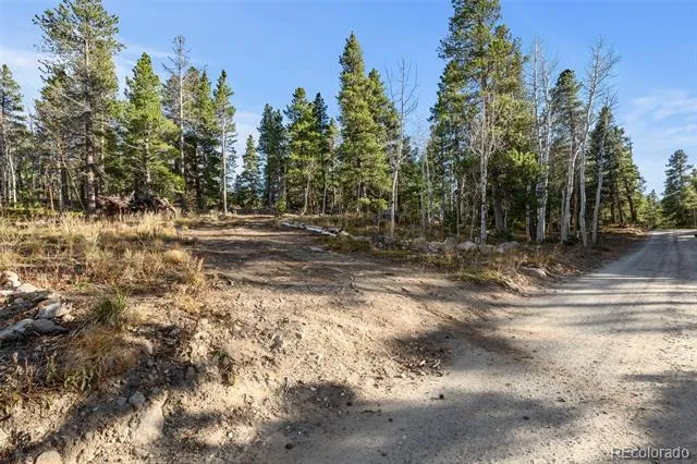 00 Severance Lodge Rd Black Hawk, CO 80422