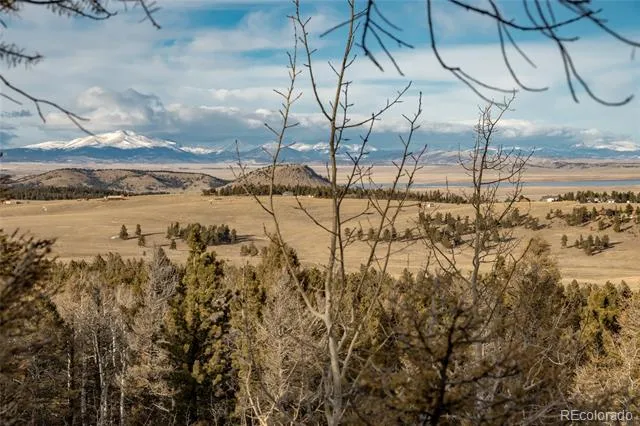 702 Bellows Road Hartsel, CO 80449