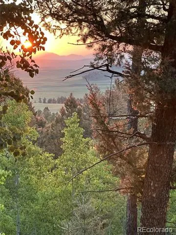 702 Bellows Road Hartsel, CO 80449