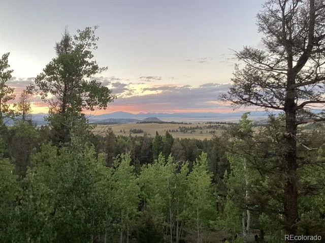 702 Bellows Road Hartsel, CO 80449