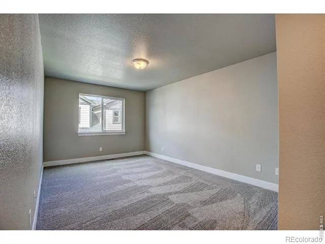 4145 Crittenton Lane #5 Wellington, CO 80549