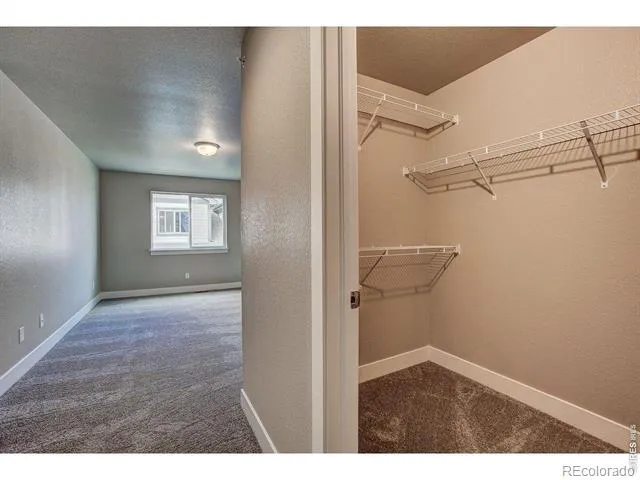 4145 Crittenton Lane #5 Wellington, CO 80549