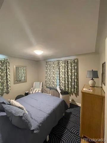 505 Logan Street #4 Denver, CO 80203