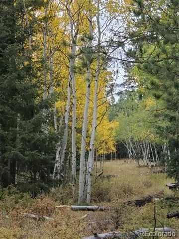 000 Rampart Range Sedalia, CO 80135