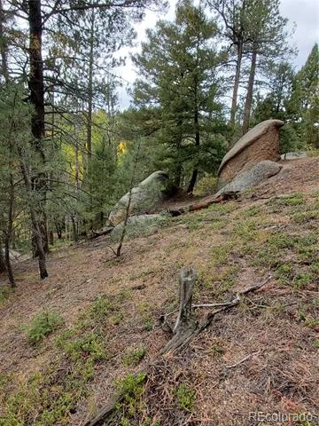 000 Rampart Range Sedalia, CO 80135