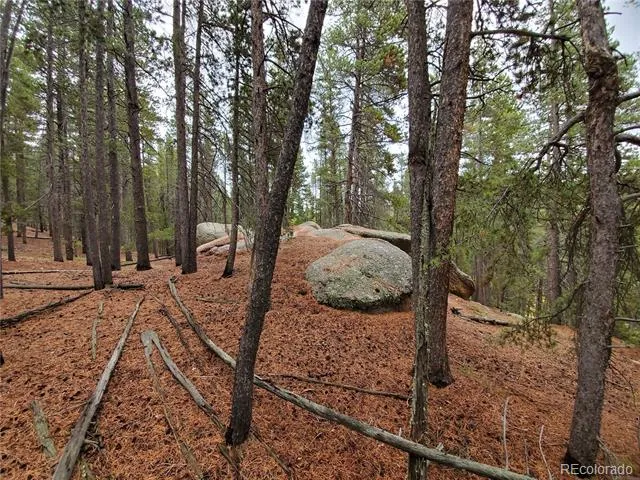 000 Rampart Range Sedalia, CO 80135