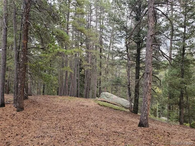 000 Rampart Range Sedalia, CO 80135