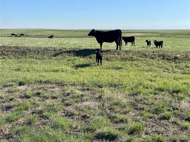 9 County Road 166 Deer Trail, CO 80105