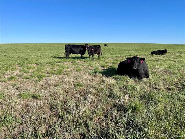9 County Road 166 Deer Trail, CO 80105