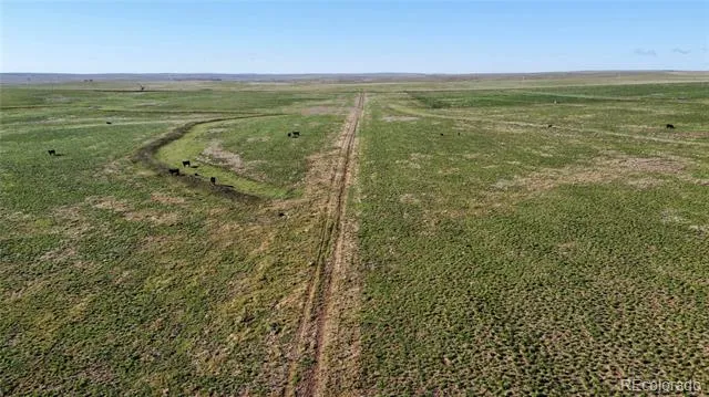 9 County Road 166 Deer Trail, CO 80105