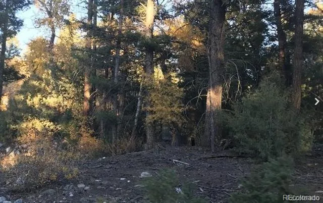 Address Not Shown Mosca, CO 81146