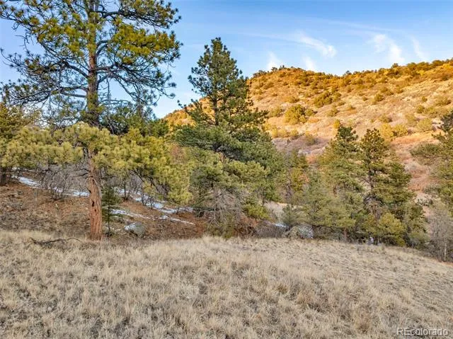 Taylor Trail Canon City, CO 81212