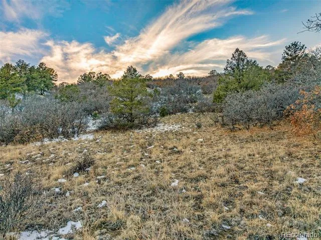Taylor Trail Canon City, CO 81212