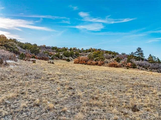 Taylor Trail Canon City, CO 81212