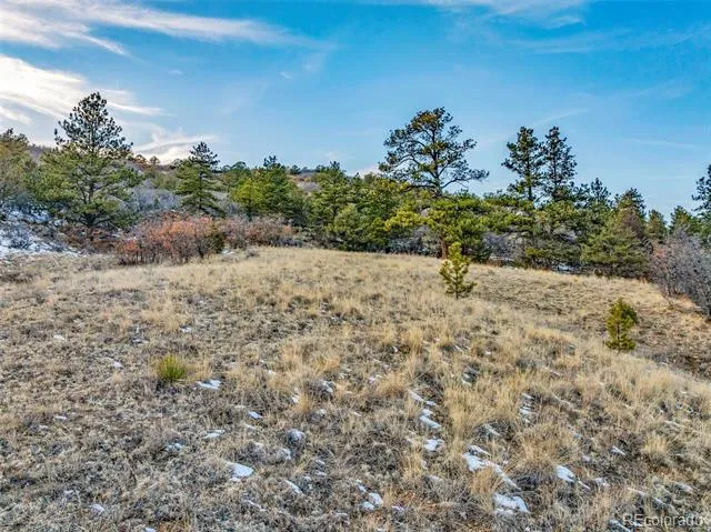 Taylor Trail Canon City, CO 81212