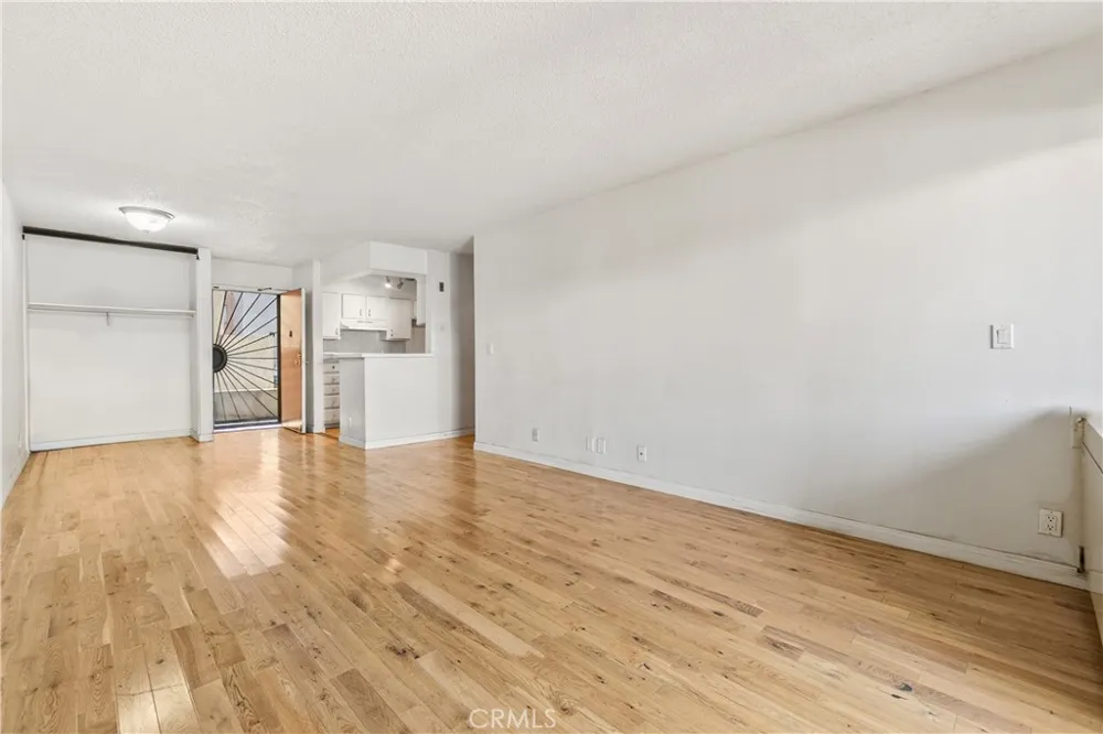 1119 Albany #106 Los Angeles, CA 90015