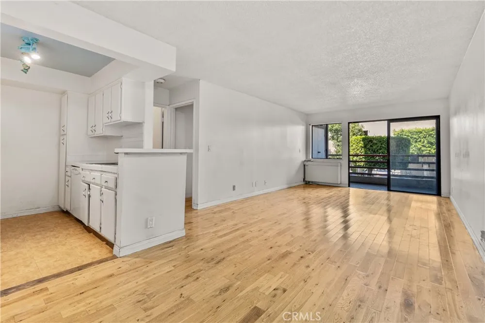 1119 Albany #106 Los Angeles, CA 90015