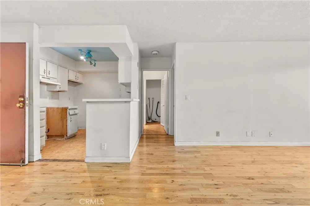 1119 Albany #106 Los Angeles, CA 90015