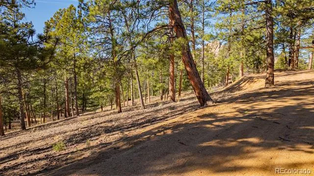 113 Schmittel Sedalia, CO 80135