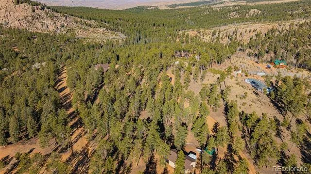 113 Schmittel Sedalia, CO 80135