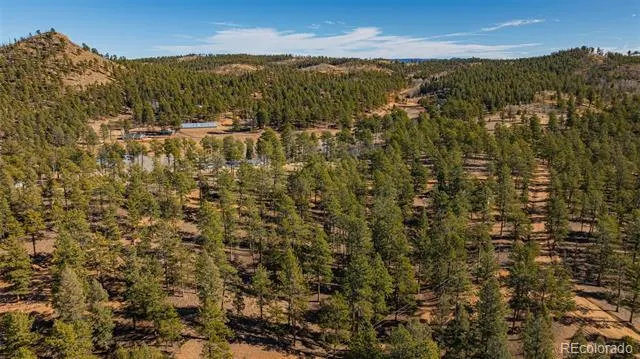 113 Schmittel Sedalia, CO 80135