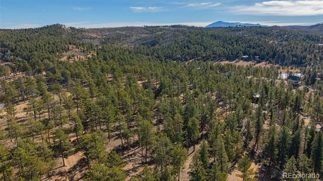 113 Schmittel Sedalia, CO 80135