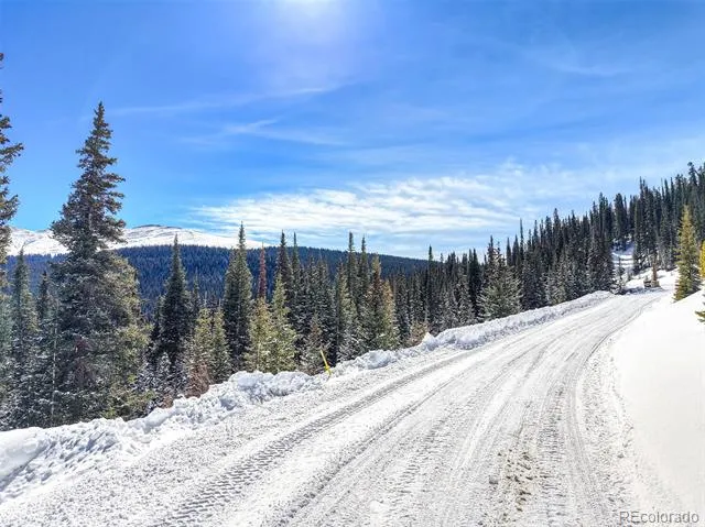 543 Carroll Lane Breckenridge, CO 80424