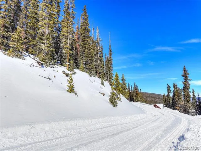 543 Carroll Lane Breckenridge, CO 80424