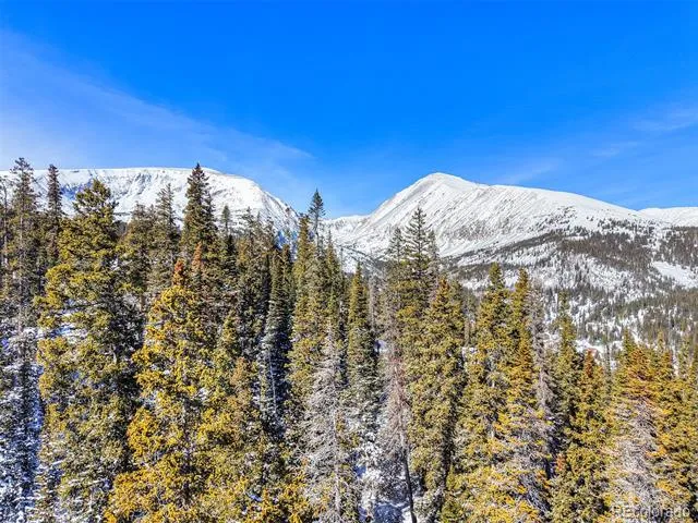 543 Carroll Lane Breckenridge, CO 80424