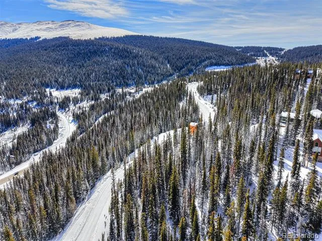 543 Carroll Lane Breckenridge, CO 80424