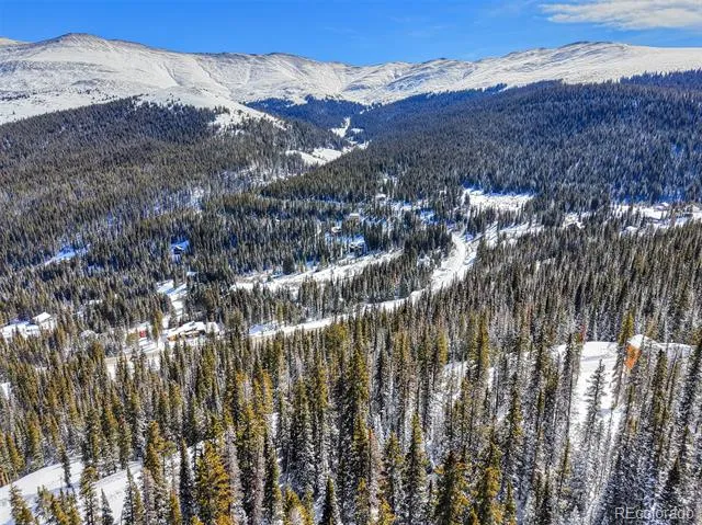 543 Carroll Lane Breckenridge, CO 80424