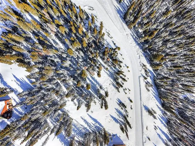 543 Carroll Lane Breckenridge, CO 80424