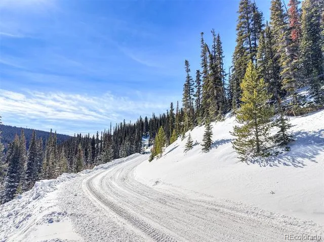 543 Carroll Lane Breckenridge, CO 80424