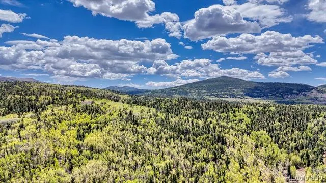 2031 Gold King Drive Cripple Creek, CO 80813