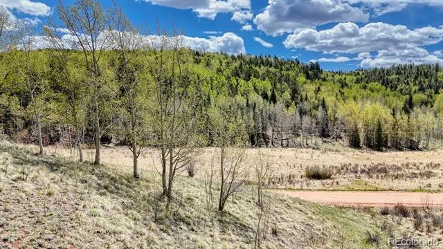 2031 Gold King Drive Cripple Creek, CO 80813