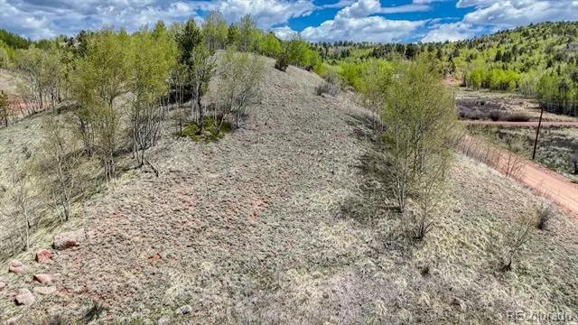 2031 Gold King Drive Cripple Creek, CO 80813