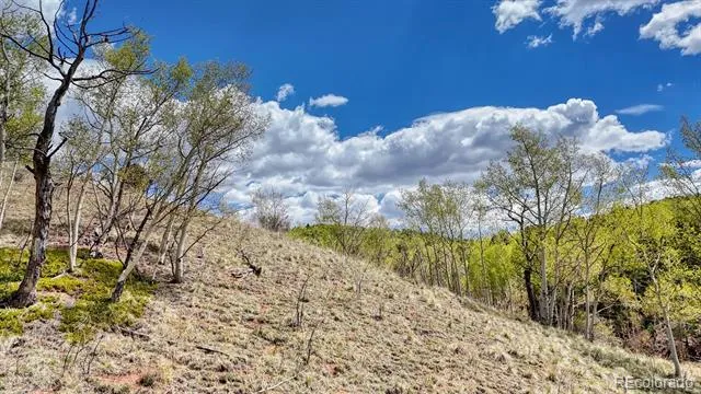 2031 Gold King Drive Cripple Creek, CO 80813