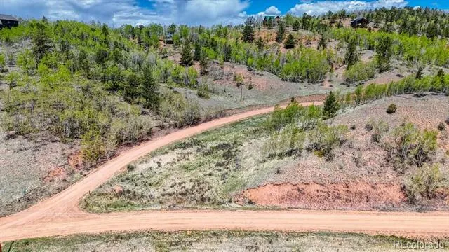 2031 Gold King Drive Cripple Creek, CO 80813