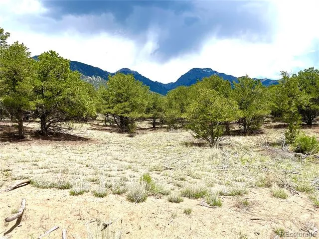 TRACT 4 PHILLEO ANNEX Philleo Way Crestone, CO 81131