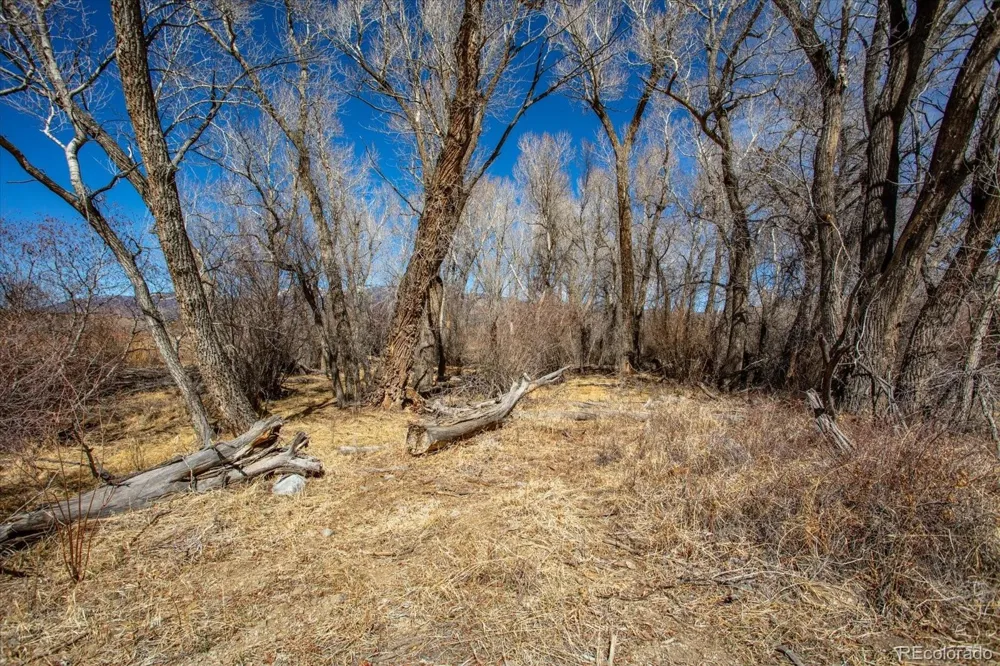29571 County Road 350a Buena Vista, CO 81211