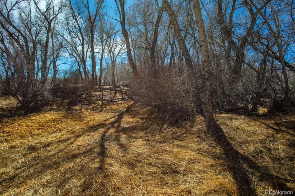 29571 County Road 350a Buena Vista, CO 81211
