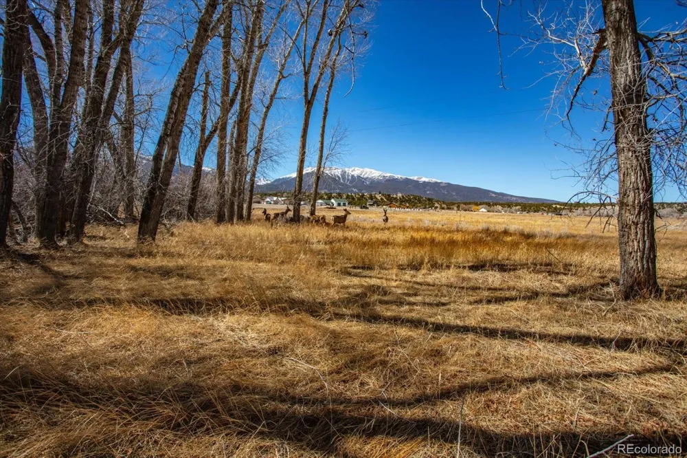29571 County Road 350a Buena Vista, CO 81211