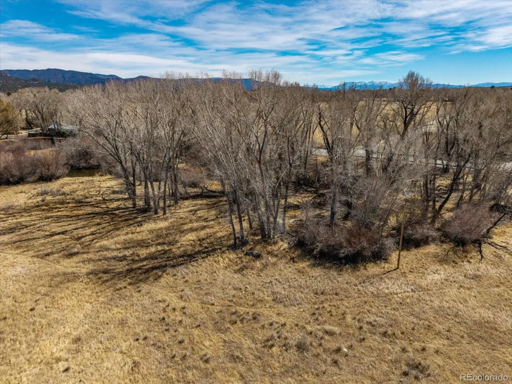 29571 County Road 350a Buena Vista, CO 81211