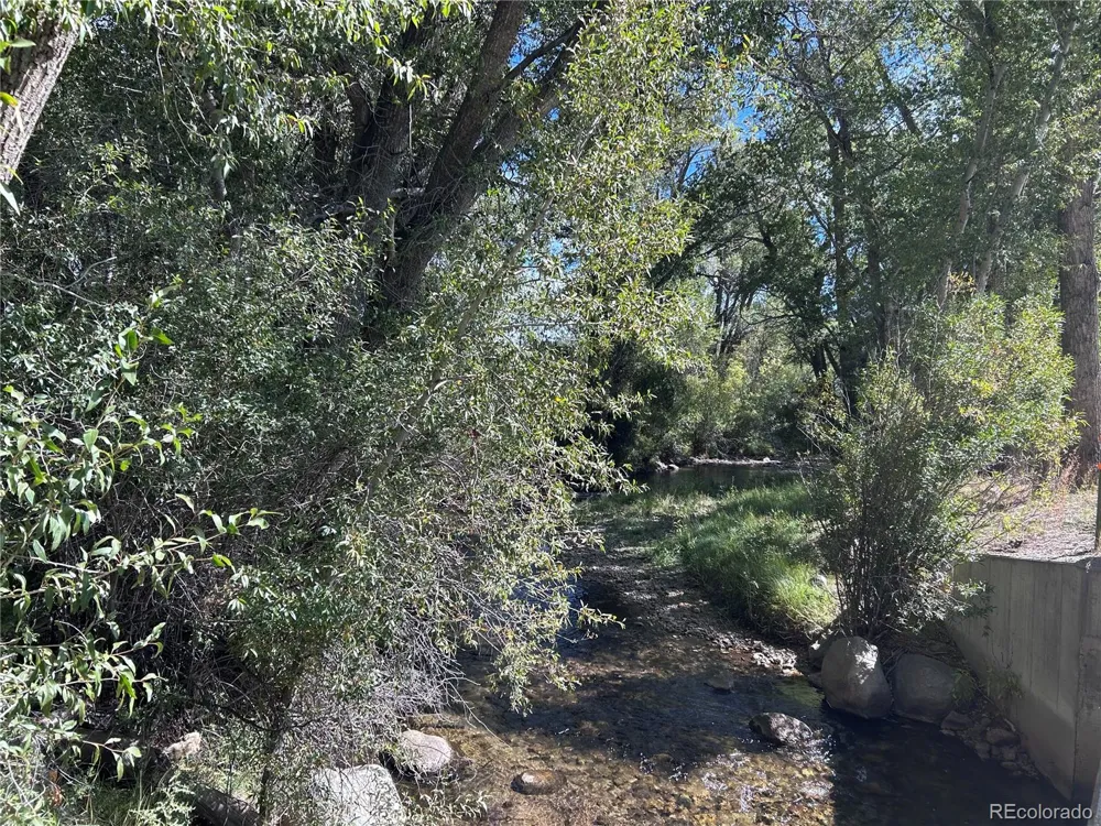 29571 County Road 350a Buena Vista, CO 81211