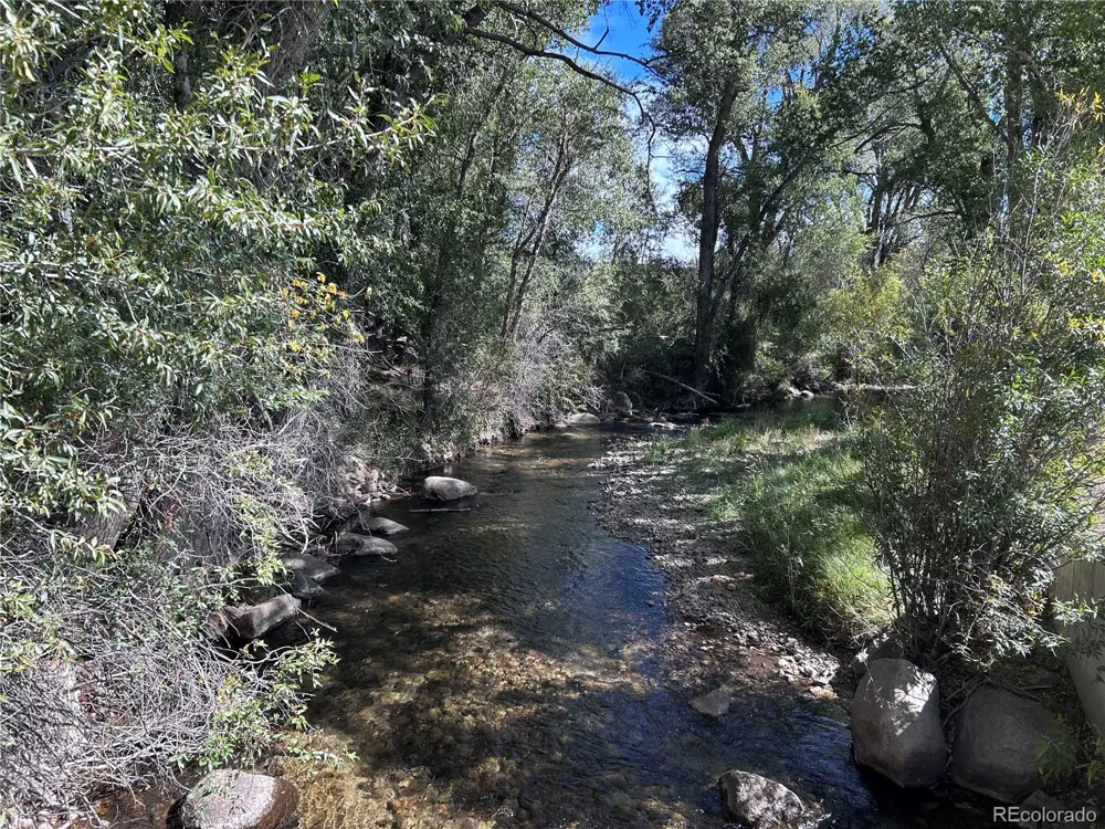 29571 County Road 350a Buena Vista, CO 81211