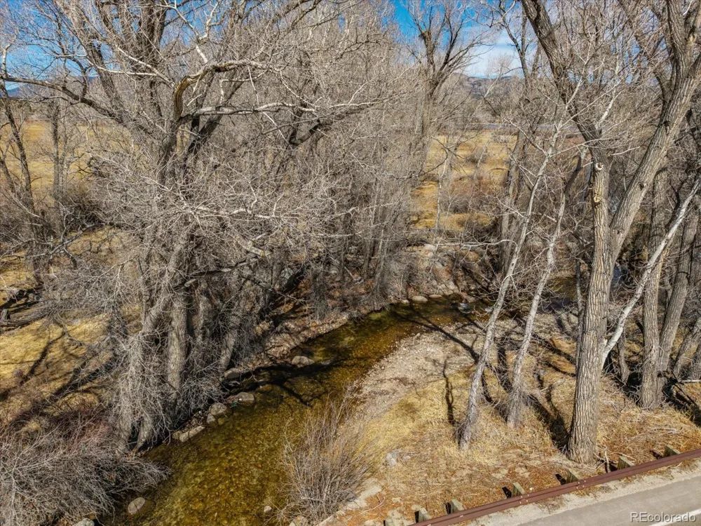 29571 County Road 350a Buena Vista, CO 81211