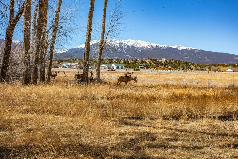 29571 County Road 350a Buena Vista, CO 81211
