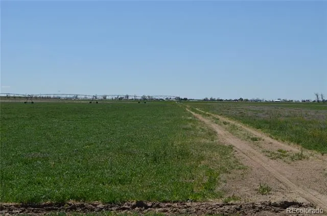 13955 Lanewood Street Brighton, CO 80603