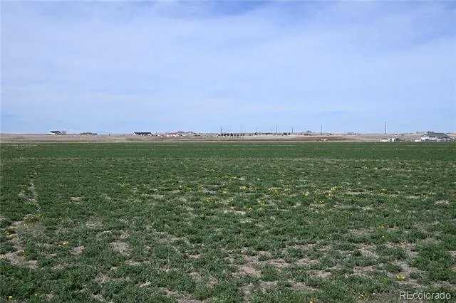13955 Lanewood Street Brighton, CO 80603